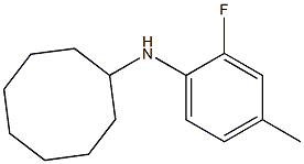 N-(2-fluoro-4-methylphenyl)cyclooctanamine