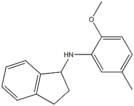N-(2-methoxy-5-methylphenyl)-2,3-dihydro-1H-inden-1-amine 结构式