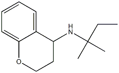 N-(2-methylbutan-2-yl)-3,4-dihydro-2H-1-benzopyran-4-amine Structure