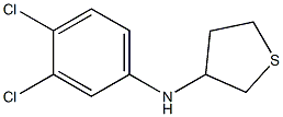 N-(3,4-dichlorophenyl)thiolan-3-amine