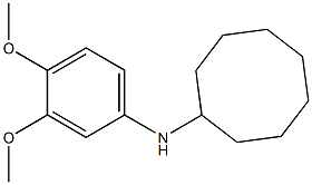 N-(3,4-dimethoxyphenyl)cyclooctanamine