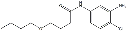 N-(3-amino-4-chlorophenyl)-4-(3-methylbutoxy)butanamide 化学構造式