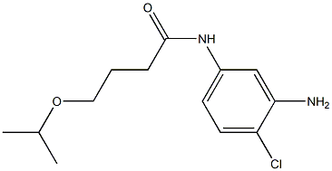 N-(3-amino-4-chlorophenyl)-4-(propan-2-yloxy)butanamide Structure