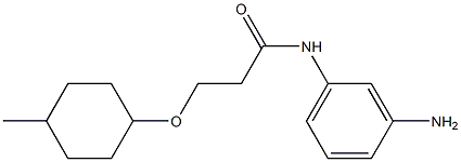 N-(3-aminophenyl)-3-[(4-methylcyclohexyl)oxy]propanamide Struktur