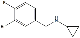 N-(3-bromo-4-fluorobenzyl)-N-cyclopropylamine Structure