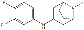 N-(3-chloro-4-fluorophenyl)-8-methyl-8-azabicyclo[3.2.1]octan-3-amine Structure