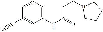 N-(3-cyanophenyl)-3-(pyrrolidin-1-yl)propanamide 结构式