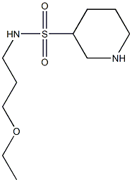 N-(3-ethoxypropyl)piperidine-3-sulfonamide Struktur