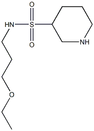 N-(3-ethoxypropyl)piperidine-3-sulfonamide 化学構造式