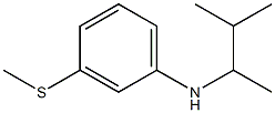  N-(3-methylbutan-2-yl)-3-(methylsulfanyl)aniline