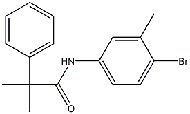 N-(4-bromo-3-methylphenyl)-2-methyl-2-phenylpropanamide Structure