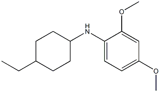 N-(4-ethylcyclohexyl)-2,4-dimethoxyaniline 结构式