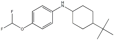 N-(4-tert-butylcyclohexyl)-4-(difluoromethoxy)aniline