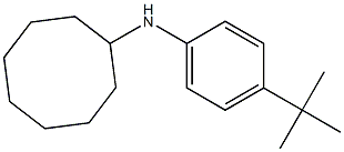 N-(4-tert-butylphenyl)cyclooctanamine Structure