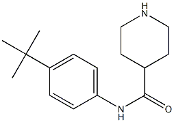 N-(4-tert-butylphenyl)piperidine-4-carboxamide