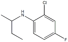 N-(butan-2-yl)-2-chloro-4-fluoroaniline 化学構造式