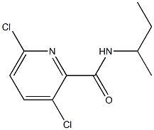 N-(butan-2-yl)-3,6-dichloropyridine-2-carboxamide Structure