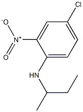 N-(butan-2-yl)-4-chloro-2-nitroaniline Structure