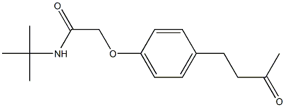 N-(tert-butyl)-2-[4-(3-oxobutyl)phenoxy]acetamide Structure