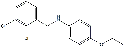 N-[(2,3-dichlorophenyl)methyl]-4-(propan-2-yloxy)aniline,,结构式