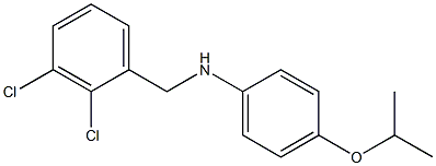 N-[(2,3-dichlorophenyl)methyl]-4-(propan-2-yloxy)aniline|