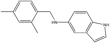 N-[(2,4-dimethylphenyl)methyl]-1H-indol-5-amine Structure