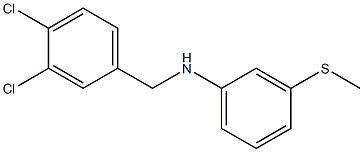 N-[(3,4-dichlorophenyl)methyl]-3-(methylsulfanyl)aniline,,结构式