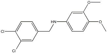 N-[(3,4-dichlorophenyl)methyl]-3,4-dimethoxyaniline