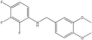 N-[(3,4-dimethoxyphenyl)methyl]-2,3,4-trifluoroaniline Structure