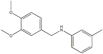 N-[(3,4-dimethoxyphenyl)methyl]-3-methylaniline Structure