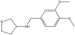 N-[(3,4-dimethoxyphenyl)methyl]thiolan-3-amine 化学構造式