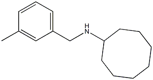 N-[(3-methylphenyl)methyl]cyclooctanamine Structure