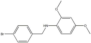 N-[(4-bromophenyl)methyl]-2,4-dimethoxyaniline 化学構造式