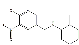  N-[(4-methoxy-3-nitrophenyl)methyl]-2-methylcyclohexan-1-amine