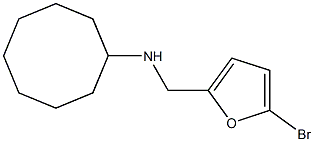 N-[(5-bromofuran-2-yl)methyl]cyclooctanamine