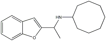 N-[1-(1-benzofuran-2-yl)ethyl]cyclooctanamine Struktur