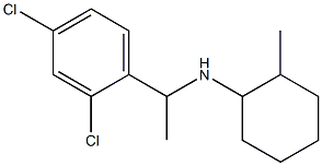 N-[1-(2,4-dichlorophenyl)ethyl]-2-methylcyclohexan-1-amine