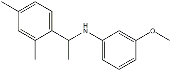 N-[1-(2,4-dimethylphenyl)ethyl]-3-methoxyaniline Struktur