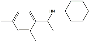 N-[1-(2,4-dimethylphenyl)ethyl]-4-methylcyclohexan-1-amine