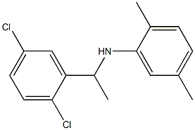 N-[1-(2,5-dichlorophenyl)ethyl]-2,5-dimethylaniline Struktur