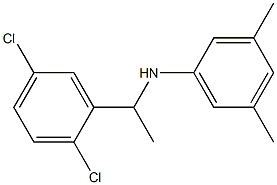 N-[1-(2,5-dichlorophenyl)ethyl]-3,5-dimethylaniline,,结构式