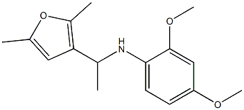 N-[1-(2,5-dimethylfuran-3-yl)ethyl]-2,4-dimethoxyaniline Structure