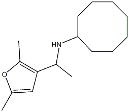 N-[1-(2,5-dimethylfuran-3-yl)ethyl]cyclooctanamine Structure