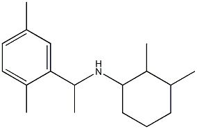 N-[1-(2,5-dimethylphenyl)ethyl]-2,3-dimethylcyclohexan-1-amine Struktur