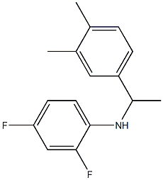 N-[1-(3,4-dimethylphenyl)ethyl]-2,4-difluoroaniline Structure