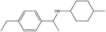 N-[1-(4-ethylphenyl)ethyl]-4-methylcyclohexan-1-amine Structure