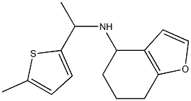 N-[1-(5-methylthiophen-2-yl)ethyl]-4,5,6,7-tetrahydro-1-benzofuran-4-amine Structure