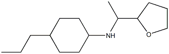  N-[1-(oxolan-2-yl)ethyl]-4-propylcyclohexan-1-amine