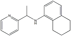  N-[1-(pyridin-2-yl)ethyl]-5,6,7,8-tetrahydronaphthalen-1-amine