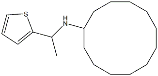 N-[1-(thiophen-2-yl)ethyl]cyclododecanamine 化学構造式